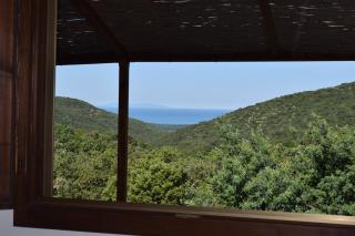 Blucamp Natural Village - Campiglia Marittima - 1