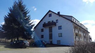 Ferienwohnung Harzluchs mit Balkon, Netflix und Sauna im Haus - Hohegeiß - 1