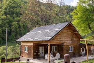 Cabana Rustic - Vişeu de Jos - 3