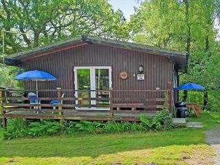 Owls About - Uk6756 - Cenarth - 9