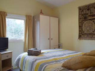 Owls About - Uk6756 - Cenarth - 3