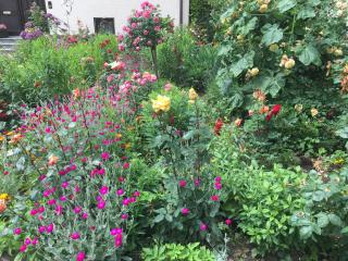 Apartment Gosberg - 90qm - 5