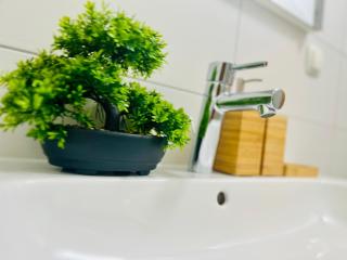 Apartman Maša - - 5