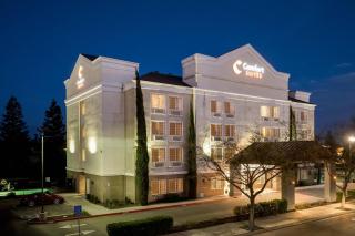 Comfort Suites - Clovis - 5
