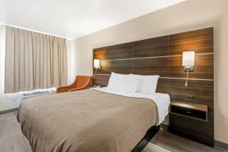 Quality Inn & Suites Orangeburg - 3