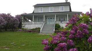 auberge gite maison des lilas - La Malbaie - 0