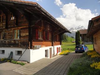 Casa Antica - Gstaad - 4