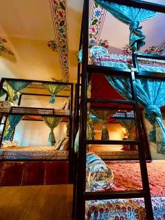 Turtle Hostel Udaipur - Udaipur - 7