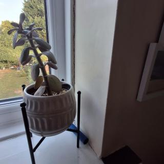 Agi's room - 2