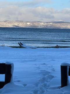 COSTA DE LOS PAJAROS - 8