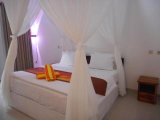 Manik Villa Besakih - Besakih - 5