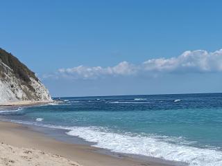 Sunny Byala - 1
