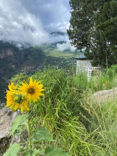 Raldang Himalayan homestay & farm stay - 4