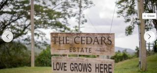 The Cedars Estate-Luxury Villa Jamaica Ocho Rios - 6