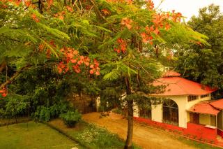 Mitali Homestay, Santiniketan - Shānti Niketan - 3