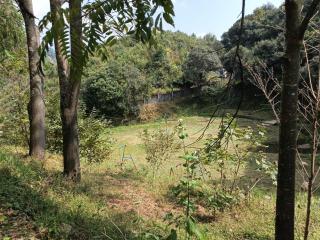 Hot Spring Resort - 9