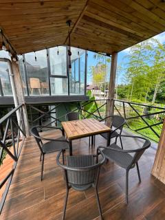 Hotel Seashell - Kobuleti - 4