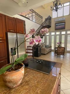 Sabana Cottage Village - Camuy - 9
