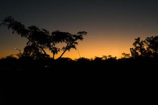 Camp Venus Lodge - Chongwe - 5