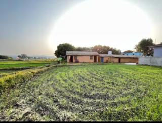 Hameri Homestay - 4