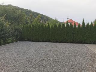 Giulia Guest House - Sovata - 4