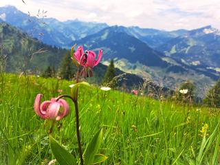Familienhotel Kleinwalsertal - Riezlern - 4