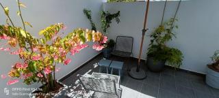 Cotufa Garden - 1
