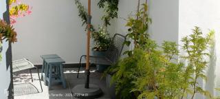 Cotufa Garden - La Laguna - 2