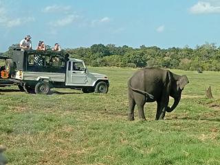Habarana Sadaruwan Guest House & Jeep Safari - Habarana - 4