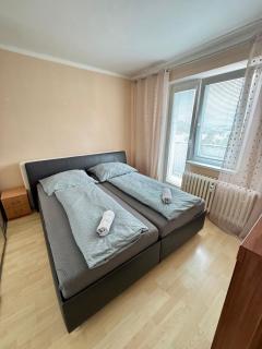 Apartmán Športovcov - 5