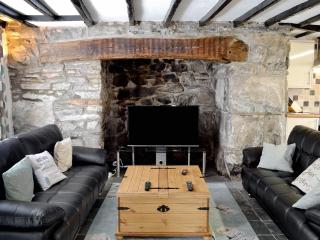 Pendref - Trawsfynydd - 8