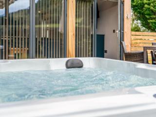 Cuckoo Lodge - Uk42541 - Winforton - 6