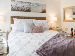 The Firs Lodge - Buckland St Mary - 3