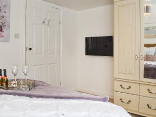The Firs Lodge - Buckland St Mary - 2