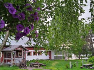 Barn House Mäntyniemi - Ruhtinaansalmi - 0