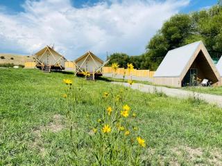 Amazing Safari Boutique Camping - Emigrant - 4