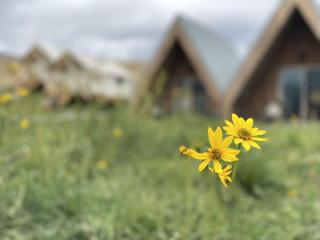 Romantic A-Frame Cabin near Yellowstone for an Amazing Glamping Getaway in Emigrant, Montana - Emigrant - 6