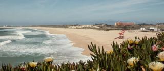 Mare Cheia (High Tide) Beach and Surf Apartments - Peniche - 6
