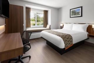 Microtel Inn by Wyndham - Albany Airport - 2