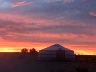 Remote Yurt Amazing for Stargazing near Joshua Tree National Park, California - 1