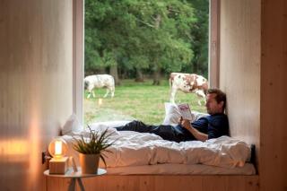 Gorgeous Off-Grid Tiny House Near Antwerp, Belgium - Wuustwezel - 8