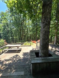 Beautiful Cabin with Spectacular Views for an Unforgettable Getaway in Nature near Rising Fawn, Georgia - 5