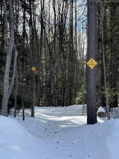 Fully Renovated Cabin Just Minutes to the Coast in Maine - 4