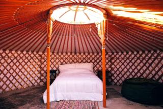 Relaxing Yurt Wonderful for Stargazing near Joshua Tree National Park, California - Twentynine Palms - 4