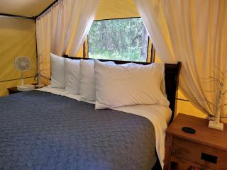 Black Fox Den: A Woodland Glamp - Dog Friendly in Hot Springs, AR - Hot Springs - 8