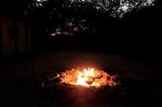 Black Fox Den: A Woodland Glamp - Dog Friendly in Hot Springs, AR - Hot Springs - 7