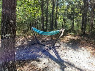 Black Fox Den: A Woodland Glamp - Dog Friendly in Hot Springs, AR - 3