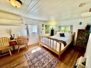 Rural Log Cabin Rental for Couples near Taos Ski Valley - San Cristobal - 3