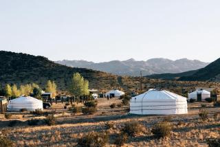 Peaceful Stargazing Yurt on a Glamping Site near Joshua Tree National Park, California - 7