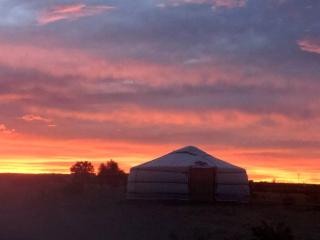 Peaceful Stargazing Yurt on a Glamping Site near Joshua Tree National Park, California - 6